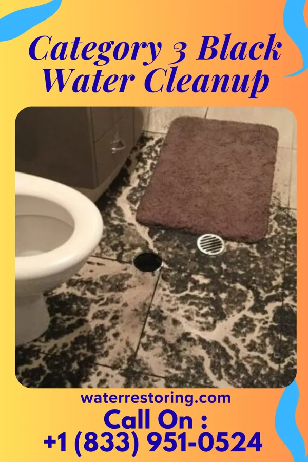 Category 3 Black Water Cleanup in Burkesville, KY