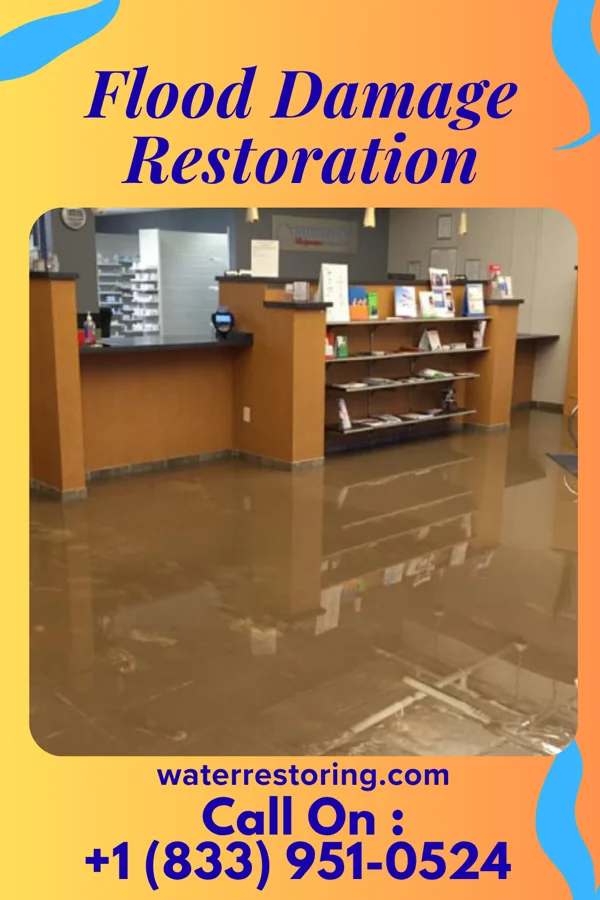 Flood Damage Restoration in Burkesville, KY